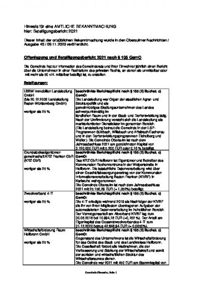 Beteiligungsbericht 2021