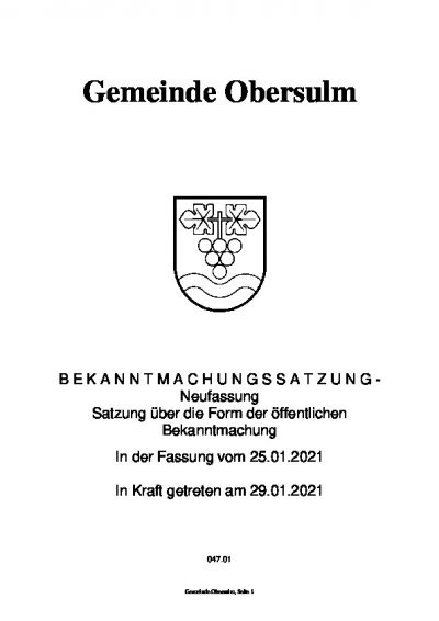 Bekanntmachungssatzung