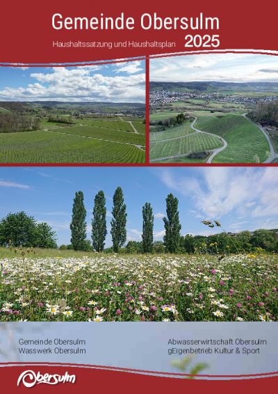Haushaltssatzung und Haushaltsplan 2025