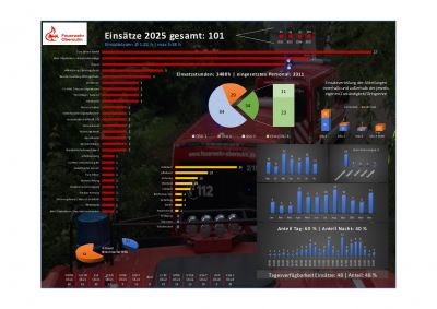 Einsatzstatistik 2025