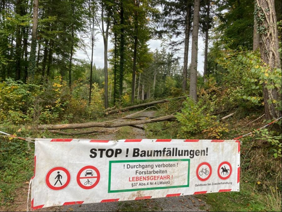  – Durchgang verboten – Wegsperrungen bei Forstarbeiten respektieren (Foto: Landratsamt Heilbronn).