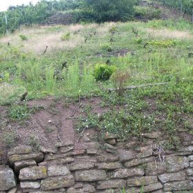 Baufällige Trockenmauer