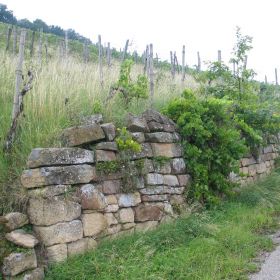 Alte Trockenmauer