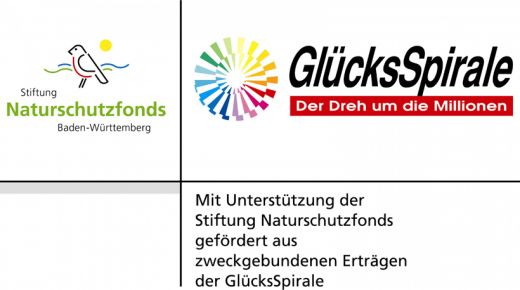 Gefördert durch: Stiftung Naturschutzfonds