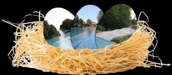Bildmontage Freibad