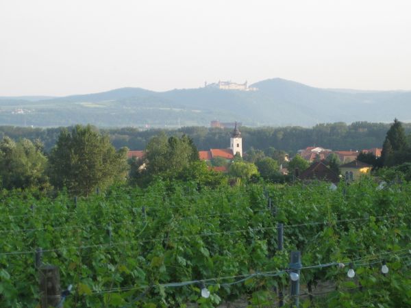 Blick auf Rohrendorf