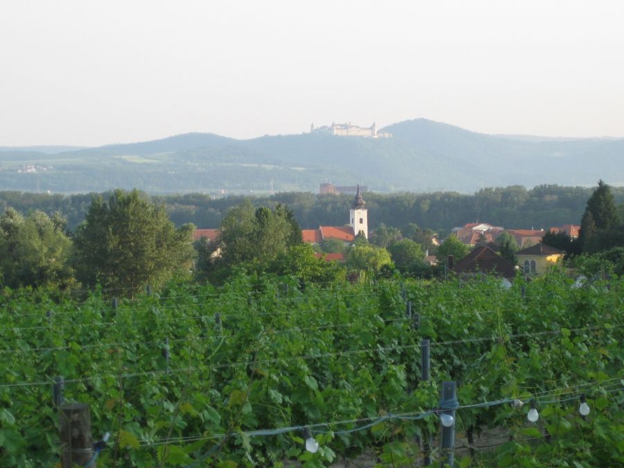 Blick auf Rohrendorf