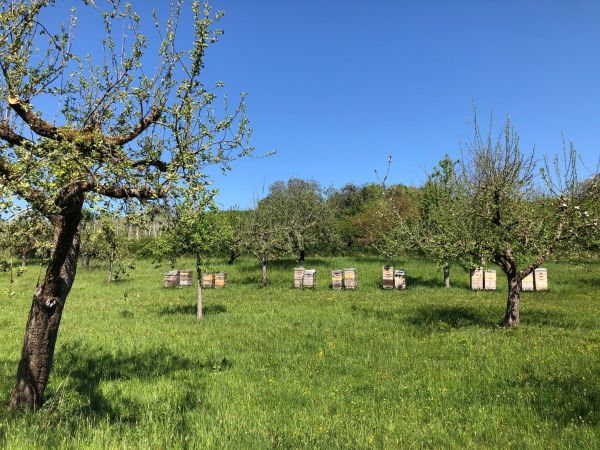  – Im Obersulmer Autal