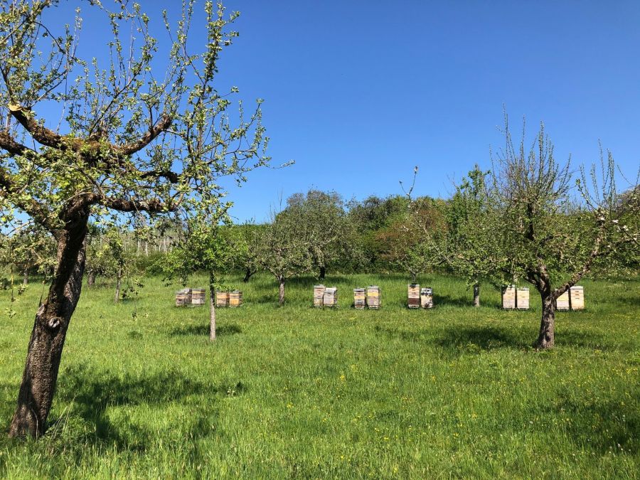  – Im Obersulmer Autal