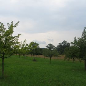 Streuobstwiese Mausklinge