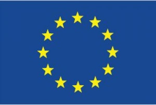Europawahl 2019