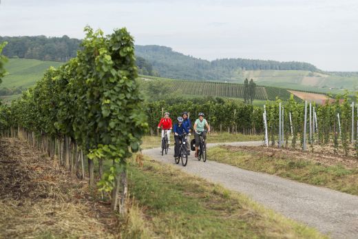 Radeln auf eigene Faust (© Tourismus Weinsberger Tal)