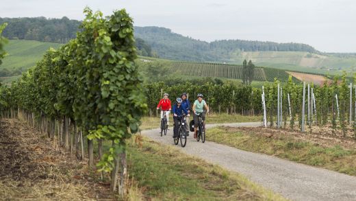 Württemberger Weinradweg (© Rathay)