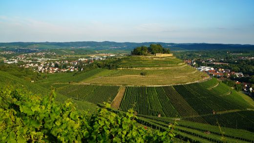 Württemberger Weinstraße – Weinsberger Weibertreu (© Linnebach)