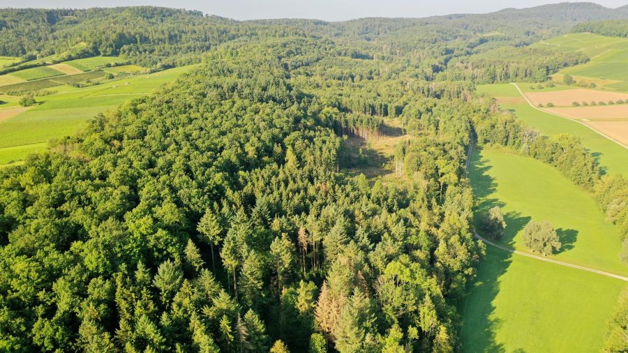  (© Julian Graf, LRA HN)