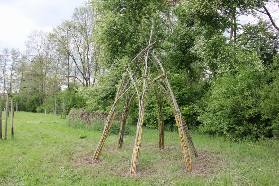 Neuer Weidendom im Michelbachpark