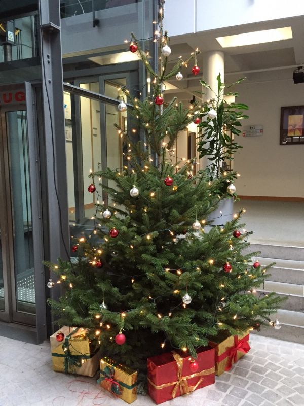 Weihnachtsbaum im Rathaus