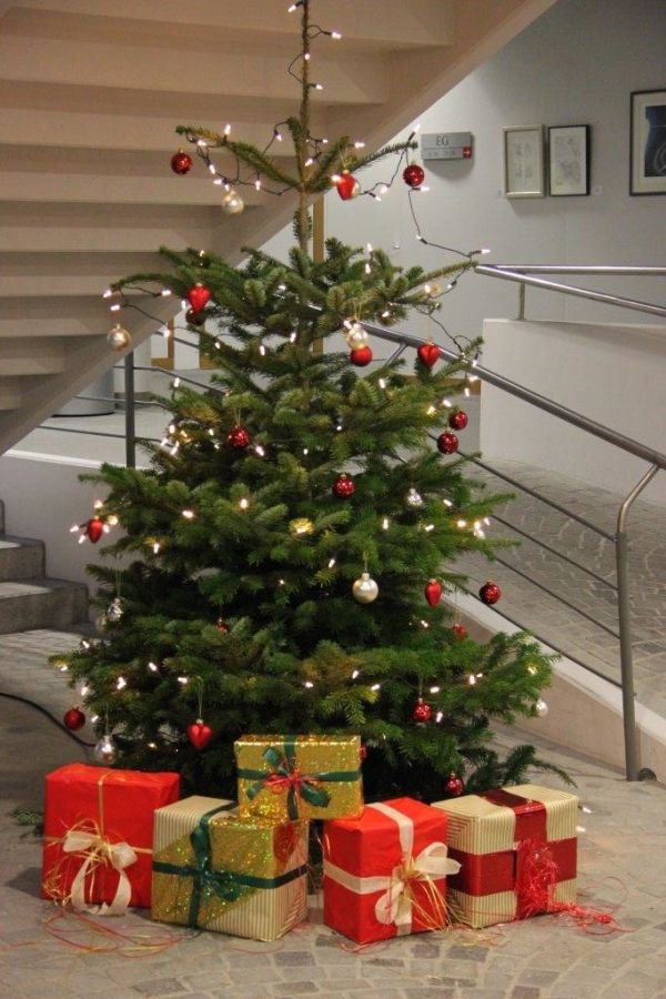Weihnachtsbaum im  Foyer des Rathauses Obersulm