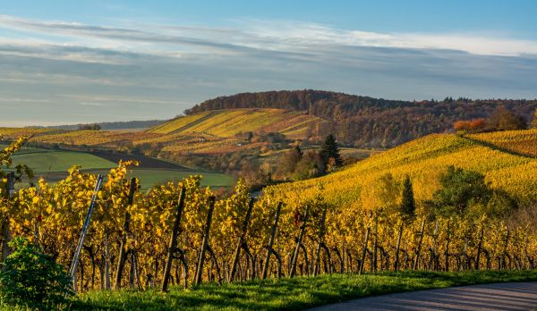 Titelbild 2017: Willsbach im Herbst (Foto S. Kaufmann)