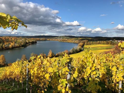 Breitenauer See im Herbst