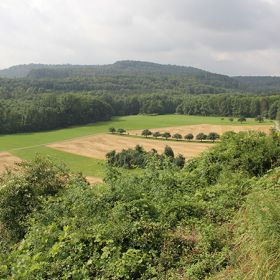 Landschaftsschutzgebiet „Autal“ – Das Landschaftsschutzgebiet „Autal“ erstreckt sich über eine Fläche von 120 ha und zeichnet sich durch wertvolle Landschaftselemente, wie den Aubach mit Ufergehölzen, Talwiesen, Laubmischwald, Streuobstwiesen und Gras- und Gebüschraine aus. Mit seiner landschaftlichen Vielfalt, Eigenart und Schönheit gewährleistet das „Autal“ einen ausgewogenen Naturhaushalt und hat einen besonderen Erholungswert. Im Jahre 1985 bewilligte das Landratsamt Heilbronn einen Zuschuss aus den Fördermitteln des Landkreises für Naturschutz und Landschaftspflege für landschaftspflegerische Maßnahmen im „Autal“.