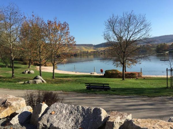 – Ufer des Breitenauer Sees – Ufer des Breitenauer Sees