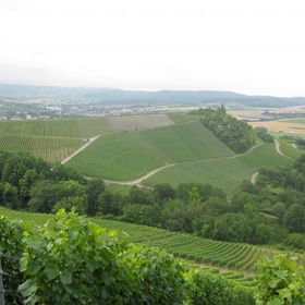 Altenbergkuppe (mit „Wolfsklinge“ unterhalb) – Das Gebiet der Sülzbacher Altenbergkuppe umfasst insgesamt ca. 1,0 Hektar. Im Jahre 1981 wurden eine Reihe landschaftspflegerische Maßnahmen durchgeführt, um ein harmonisches Bild zu schaffen. Die Altenbergkuppe wurde unter Schutz gestellt, um die landschaftsprägende Kuppe des Altenbergs und den Bereich einer Abrissscholle am Westhang zu sichern, sowie zum Schutze des Bewuchses wegen seiner ökologischen Bedeutung in der Rebflur.