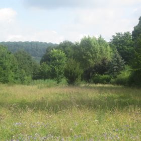 Feuchtgebiet „Sandwiesen“ – Das Feuchtgebiet „Sandwiesen“ auf der Gemarkung Sülzbach wurde vom Landratsamt Heilbronn durch Verordnung als flächenhaftes Naturdenkmal festgesetzt. Es soll die überwiegend mit Schilf bestandene Feuchtfläche mit ökologischer Bedeutung geschützt und der Lebensraum bestimmter Tiere und Pflanzen gesichert werden.