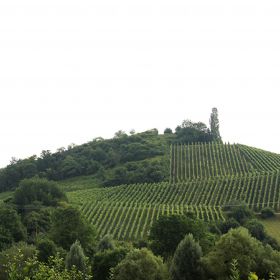 Sülzbacher Altenbergkuppe – Das Gebiet der Sülzbacher Altenbergkuppe umfasst insgesamt ca. 1,0 Hektar. Im Jahre 1981 wurden eine Reihe landschaftspflegerische Maßnahmen durchgeführt, um ein harmonisches Bild zu schaffen. Die Altenbergkuppe wurde unter Schutz gestellt, um die landschaftsprägende Kuppe des Altenbergs und den Bereich einer Abrissscholle am Westhang zu sichern, sowie zum Schutze des Bewuchses wegen seiner ökologischen Bedeutung in der Rebflur.