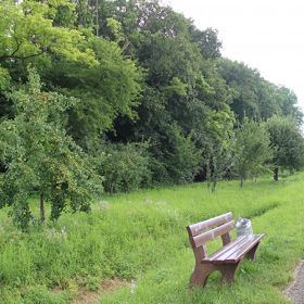 Biotop Feldgehölz nordwestlich Sülzbach