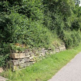 Biotop Feldgehölz am Diebelsberg Affaltrach