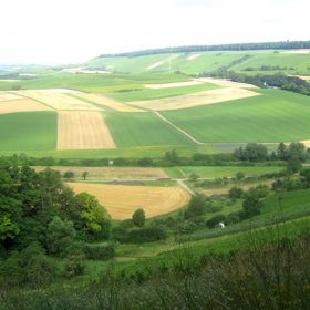 Feuchtgebiet „Sandwiesen“ von oben – Das Feuchtgebiet „Sandwiesen“ auf der Gemarkung Sülzbach wurde vom Landratsamt Heilbronn durch Verordnung als flächenhaftes Naturdenkmal festgesetzt. Es soll die überwiegend mit Schilf bestandene Feuchtfläche mit ökologischer Bedeutung geschützt und der Lebensraum bestimmter Tiere und Pflanzen gesichert werden.