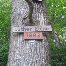 Luther Eiche mit Bezeichnung und Schild „Naturdenkmal“ – Die Eiche wurde im März 1986 von Mitarbeitern des Landratsamtes Heilbronn bei einer Ortsbesichtigung begutachtet und anschließend als künftiges Naturdenkmal aufgenommen.