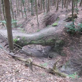 Felsenbrücke Hohlenstein – Die Felsenbrücke Hohlenstein stellt ein natürliches Gebilde aus Stubensandstein auf der Gemarkung Eichelberg dar. Der Fels hat eine Länge von ca. 8 Metern und ist ca. 3-4 Meter hoch. Er ist in der Mitte unterhöhlt und als Durchgang begehbar. Die Felsenbrücke Hohlenstein ist als Einzelschöpfung der Natur zur Erhaltung einer natürlichen Felsenbrücke im Stubensandstein wegen ihrer Eigenart und Seltenheit unter Schutz gestellt. Geschützt ist die komplette Waldklinge ober- und unterhalb der Felsenbrücke auf jeweils 25 m Länge.