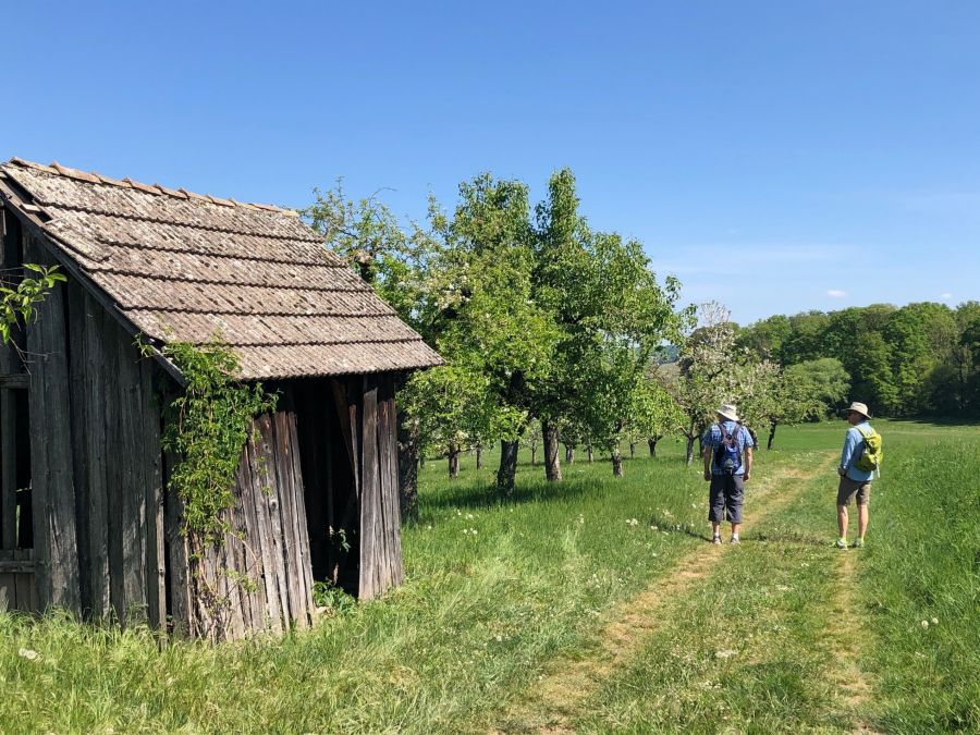 Sommerwanderung