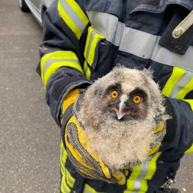 (© Freiwillige Feuerwehr Ellbachtal) (© Freiwillige Feuerwehr Ellbachtal)
