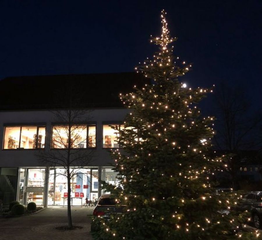  – Der Weihnachtsbaum 2020 vor der Gemeindebücherei Obersulm (Foto: Gemeindebücherei)