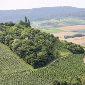 Sülzbacher Altenbergkuppe – Das Gebiet der Sülzbacher Altenbergkuppe umfasst insgesamt ca. 1,0 Hektar. Im Jahre 1981 wurden eine Reihe landschaftspflegerische Maßnahmen durchgeführt, um ein harmonisches Bild zu schaffen. Die Altenbergkuppe wurde unter Schutz gestellt, um die landschaftsprägende Kuppe des Altenbergs und den Bereich einer Abrissscholle am Westhang zu sichern, sowie zum Schutze des Bewuchses wegen seiner ökologischen Bedeutung in der Rebflur.